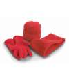 RS40 R040X Result Polartherm™ Accessory Set Red colour image